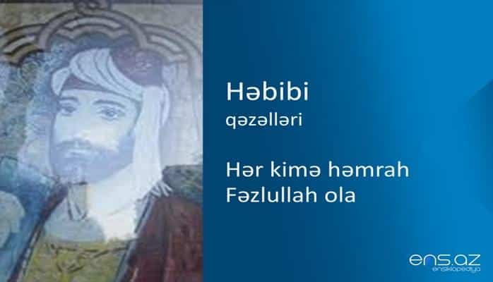 Həbibi - Hər kimə həmrah Fəzlullah ola