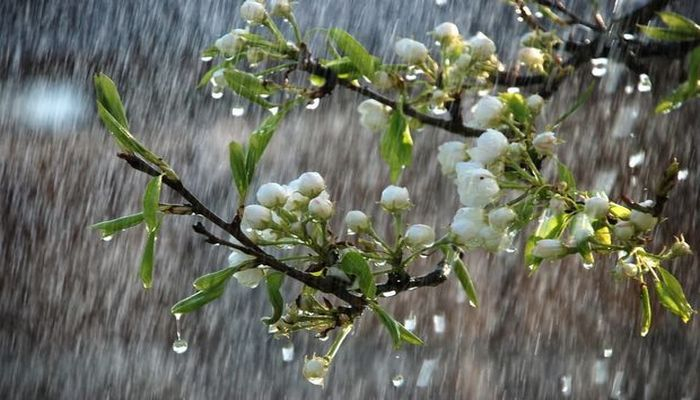 Hava kəskin dəyişir - Xəbərdarlıq