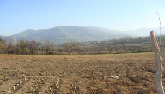 Azərbaycanda torpaq mülkiyyətçilərinin sosial yükü azaldıla bilər