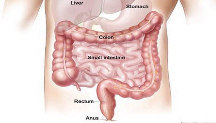 Düz bağırsaq xəstəlikləri haqqında bilmədikləriniz