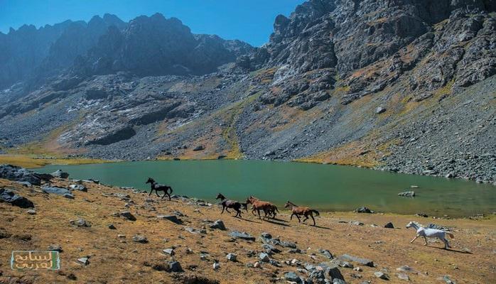 Ərəbistanın turizm firmaları Naxçıvanı təbliğ edir