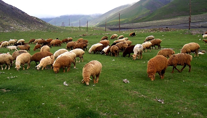 Torpaqdan istifadə üçün yeni qaydalar