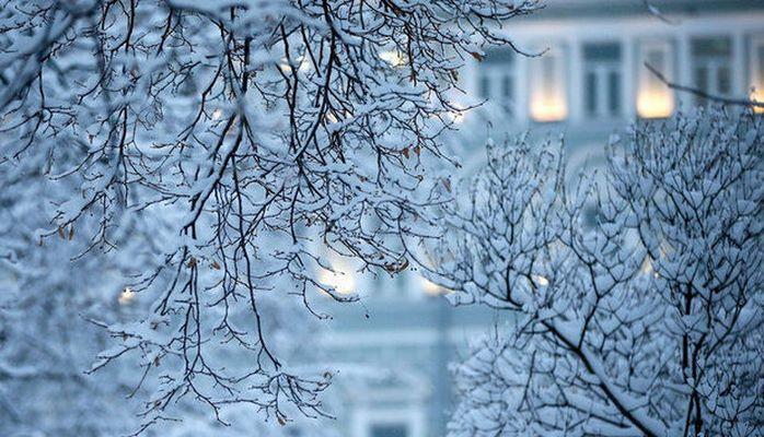 Шамахы накрыло белым покрывалом