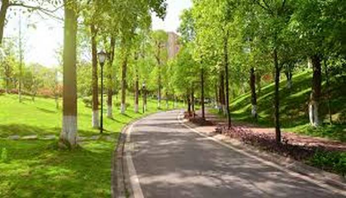 Bakıda yeni park salınacaq