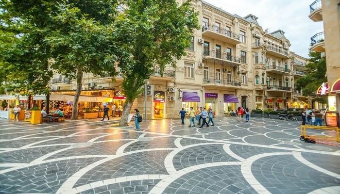 Bakının mərkəzində ağacın kökünə beton tökülüb? - AÇIQLAMA