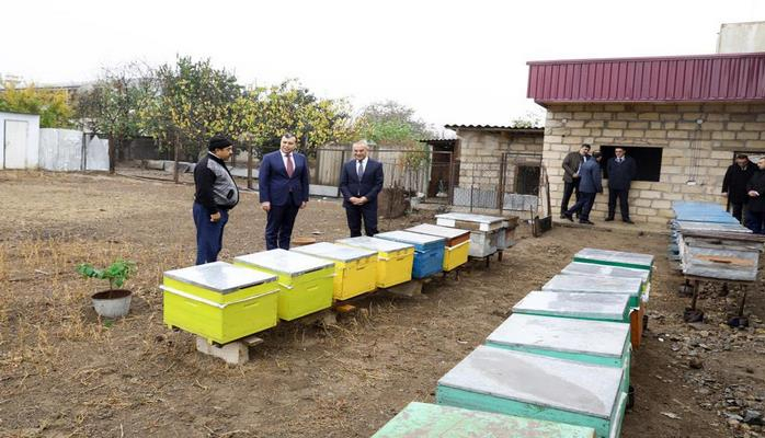 Şəmkirdə özünüməşğulluq proqramı çərçivəsində yaradılan kiçik ailə təsərrüfatlarına baxış olub