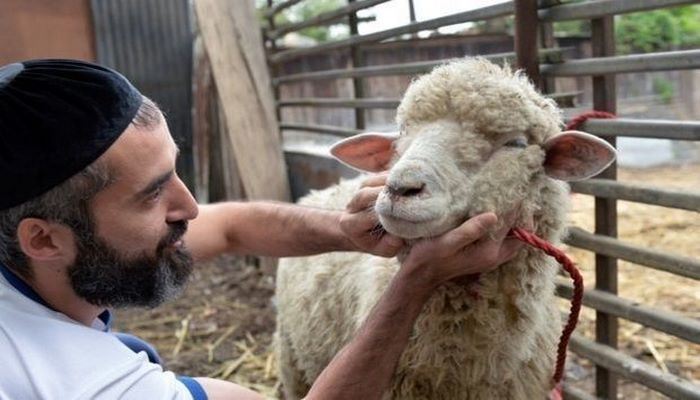 “Təzəpir”in imamı: Hər insanın qurban kəsməsi vacib deyil