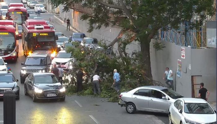 BNA küləkli hava şəraiti ilə bağlı vətəndaşlara müraciət edib