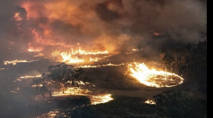 Avstraliyadakı yanğın nəzarət altına alındı