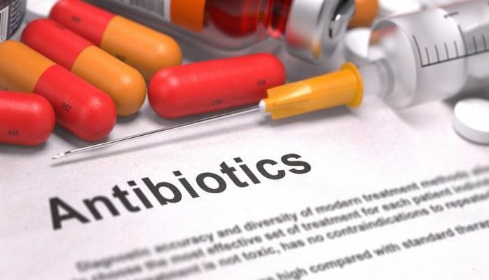 Antibiotik istifadəsindən sonra hansı qidaları qəbul etməliyik?