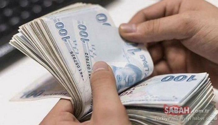 Pandemi başvuru sonucu sorgulama 2020: 1000 TL sosyal yardım parası başvuru sonuçları sorgulama nasıl yapılır?