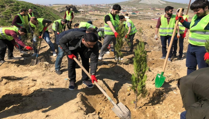 Şəhid Emin Bağırov adına küçədə ağacəkmə aksiyası keçirilib