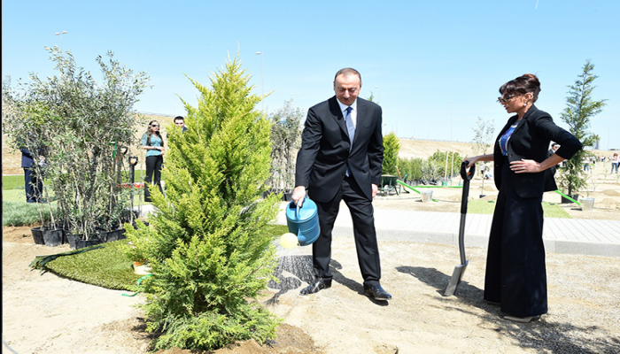 Prezident İlham Əliyev Heydər Əliyevin doğum gününə həsr olunan ağacəkmə aksiyasında iştirak edib