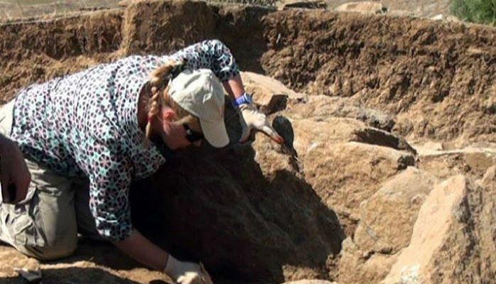 Qazıntı zamanı bu hallar baş versə, cərimə tətbiq ediləcək