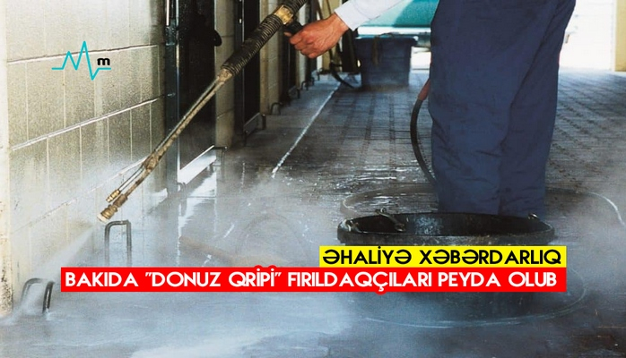 Bakıda “donuz qripi” fırıldaqçıları peyda olub - Əhaliyə xəbərdarlıq