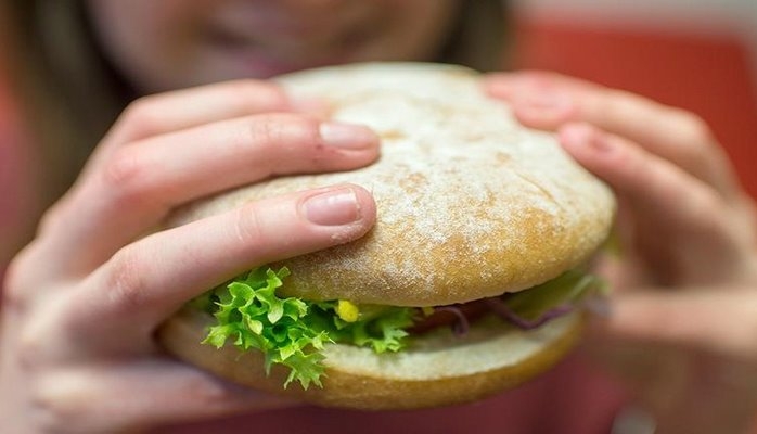 Alimlər burgerin daha bir təhlükəsini aşkar etdi