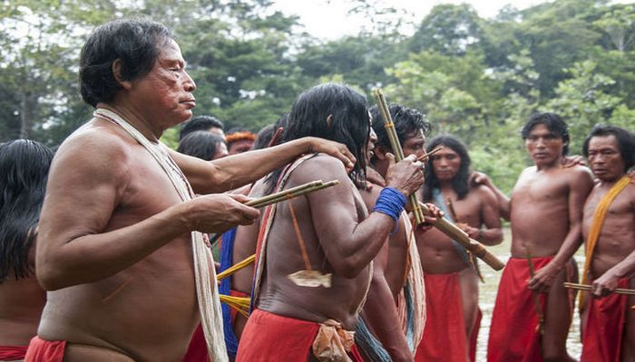 Koronavirus Amazoniya hindularını tamamilə məhv edə bilər