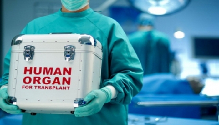 Azərbaycanda canlı donordan orqan transplantasiyası belə olacaq - QAYDALAR VƏ ŞƏRTLƏR