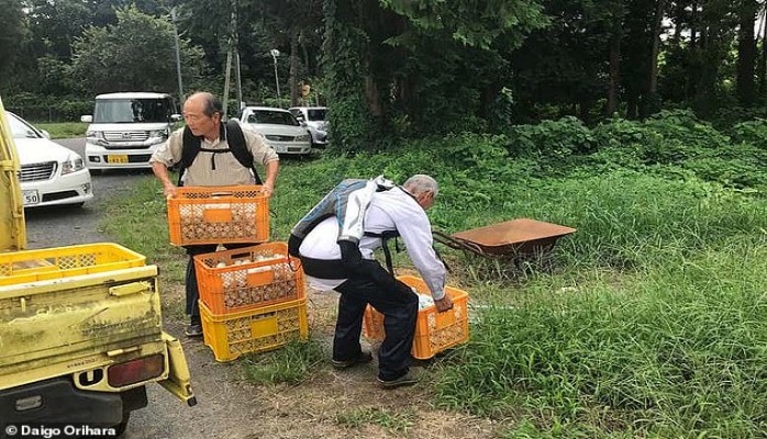 Bu ölkənin sakinləri qocalıqda da işləyə bilmək üçün maraqlı üsula əl atıblar