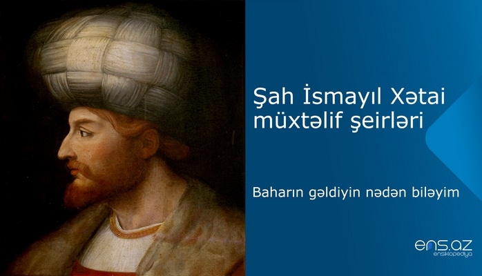 Şah İsmayıl Xətai - Baharın gəldiyin nədən biləyim