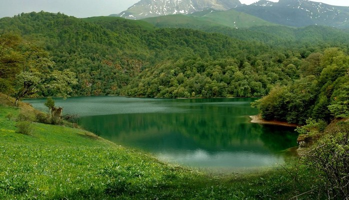 Milli parklarda uşaqlar üçün "Təbiəti dərk et-əylən" tipli guşələr yaradılacaq