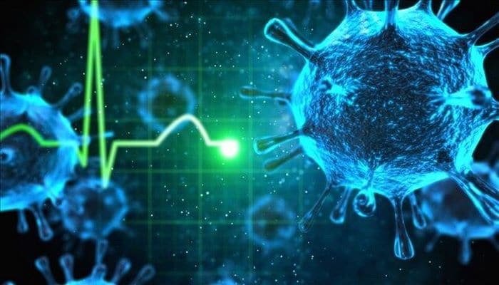 Çində daha bir ölümcül virus yayıldı