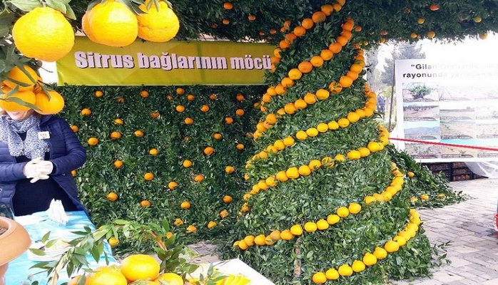 Bazar günü Lənkərana gəlmək üçün səbəb var