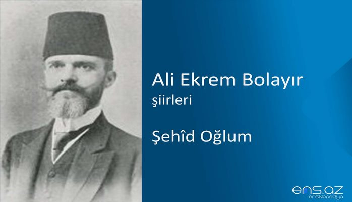 Ali Ekrem Bolayır - Şehid Oğlum