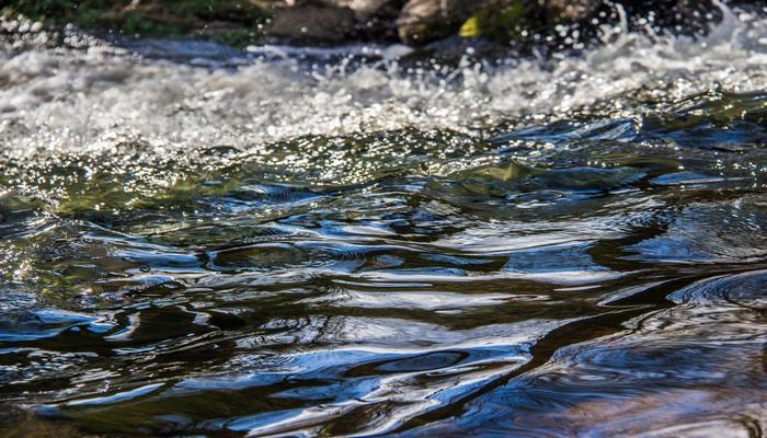 Грунтовые воды будут служить озеленению Баку