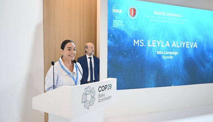 Leyla Əliyeva COP29 çərçivəsində dəniz canlılarına dair panel müzakirələrində iştirak edib