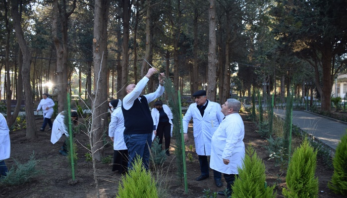 Mərkəzi Nəbatat Bağında yeni əkilən həmişəyaşıl bitkilərə baxış keçirilib