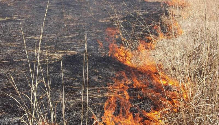 FHN: Qaxda dağlıq ərazidəki yanğın söndürülüb