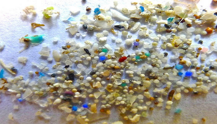 Mikroplastik hissəciklərə bütün şirin su çöküntülərində rast gəlinir
