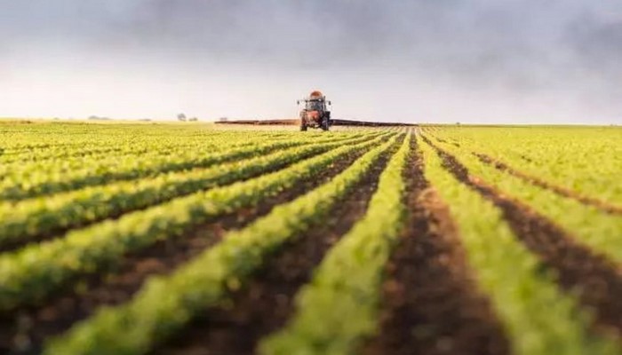 Milli Məclis Azərbaycanda aqrar təyinatlı torpaqlarda tikililərlə bağlı yeni qaydanı qəbul edib