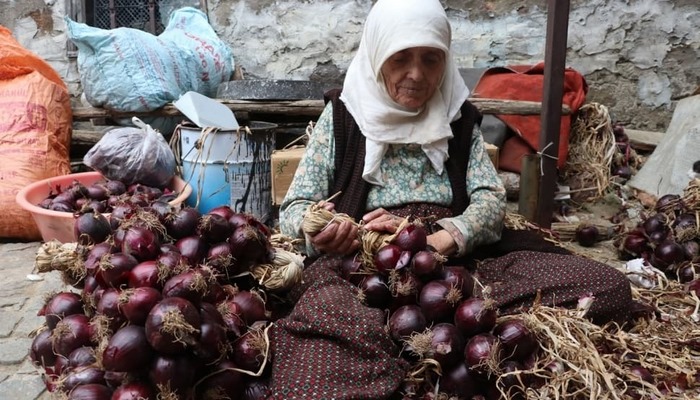 Mor soğanların sofraya geliş süreci! Mor soğan nasıl yetişiyor?