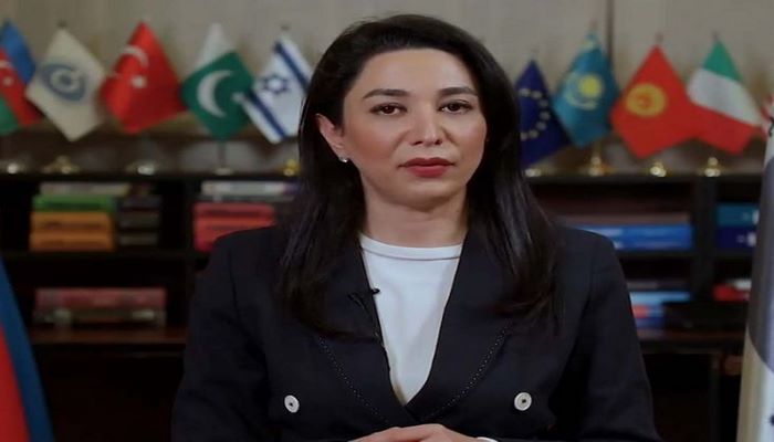 Ombudsman: Qarabağdakı erməni əsilli Azərbaycan vətəndaşlarının hüquqlarının təmini məsələsi dövlətimizin yurisdiksiyasındadır