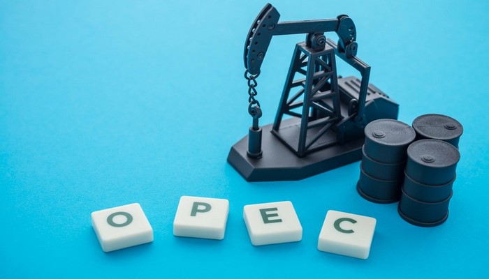 OPEC+ neft hasilatının maydan tədricən bərpa olunması barədə razılığa gəlib