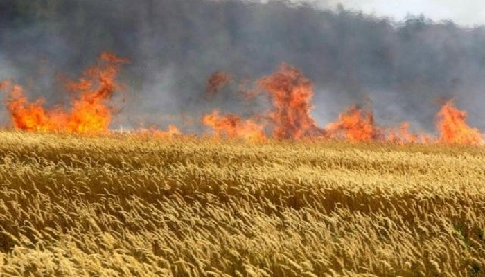 Ot tayalarında baş verən yanğınla bağlı araşdırılma aparılır