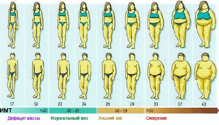 Ожирение при нормальном весе: неужели такое возможно?