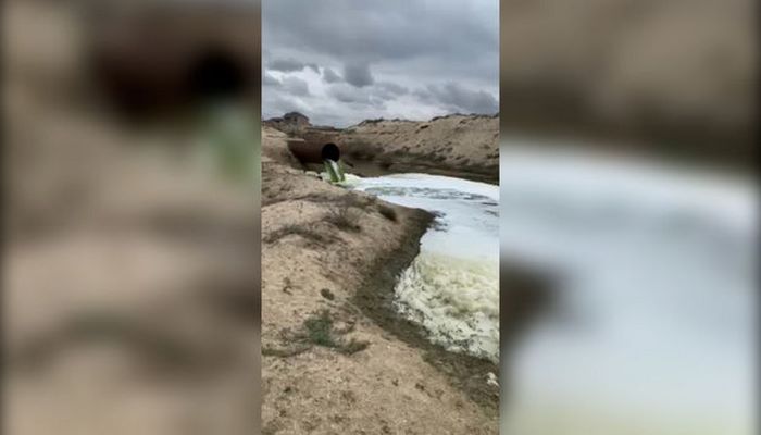 Pirşağının bitməyən dərdi: Qurumlar məsələyə niyə biganə yanaşır?