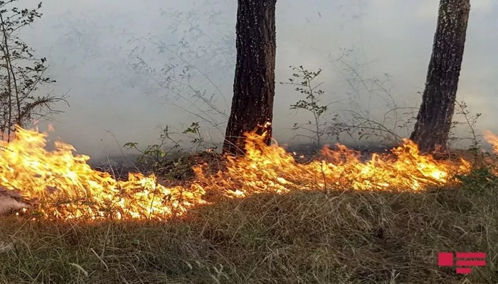 Qızılağac Milli Parkında yanğın başlayıb