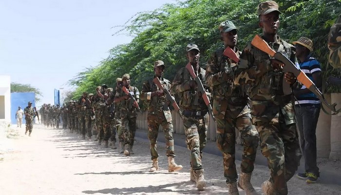 Somali HDQ komandanı: “Ərazi bütövlüyünü qorumaq üçün lazım olan hər şeyə sahibik”